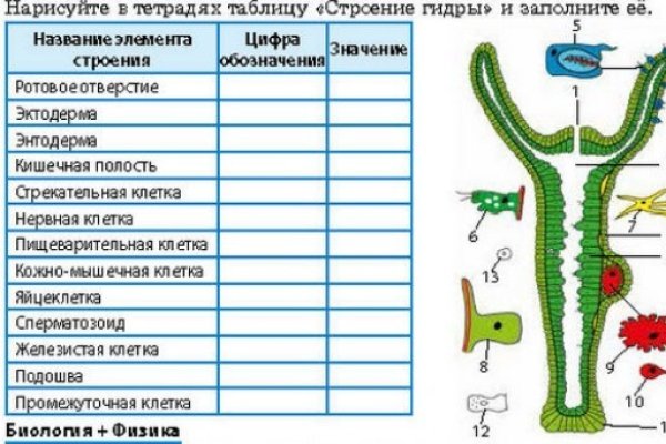 Сайты даркнета